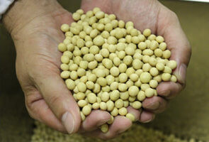 大豆国産大豆100%